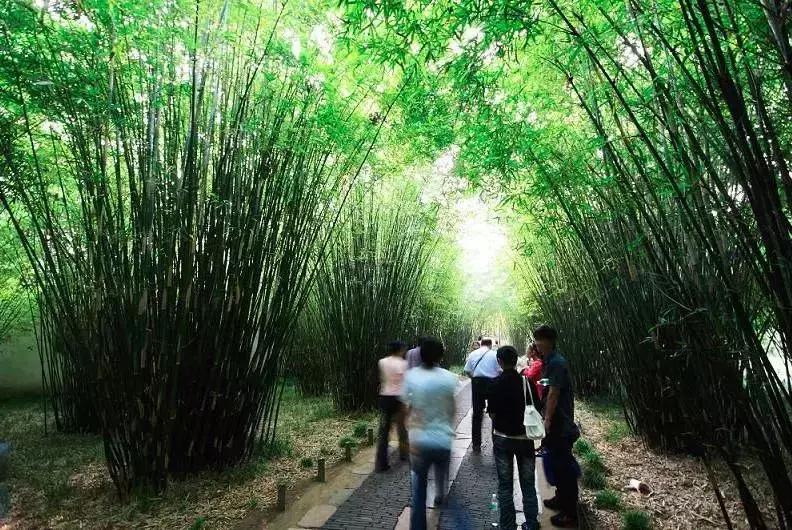 清明小长假去哪玩？国内美到炸的9条旅行线！我去第6条，你呢？