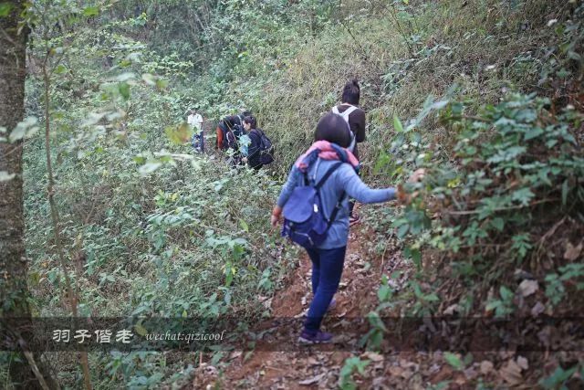 云南沧源靠近哪个国家,云南沧源最好玩的地方