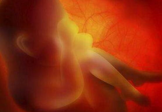 手电筒胎教怎么做,手电筒胎教视频