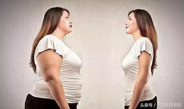 左旋肉碱胶囊减肥功效,左旋肉碱减肥亲身经历