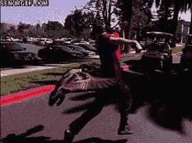 什么鹅的战斗力最强,鹅的战斗力是什么梗