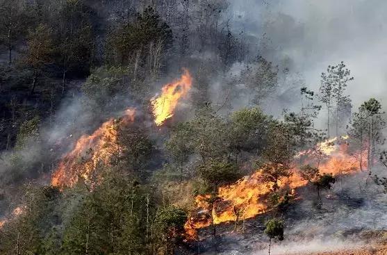 清明期间重大事件,清明事件曝光