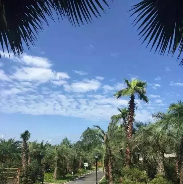 三亚房车租赁游,三亚租赁房车自驾