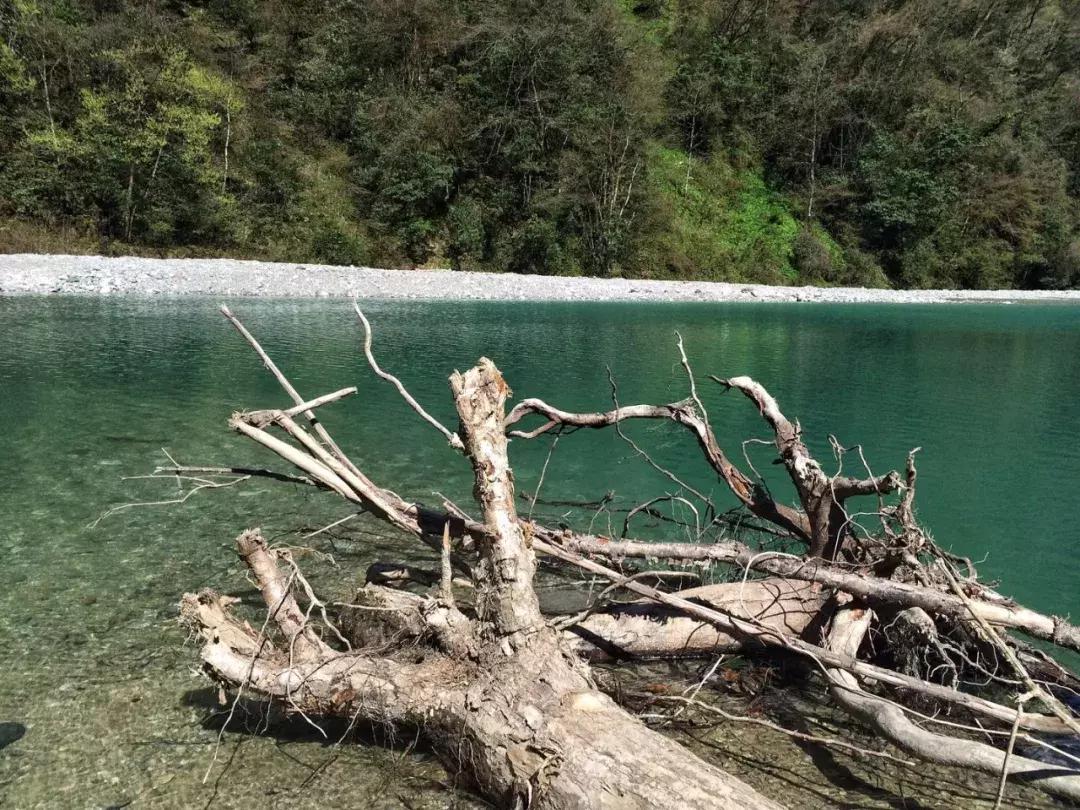 清明踏春一日游必去景点,踏春赏花景点最美推荐