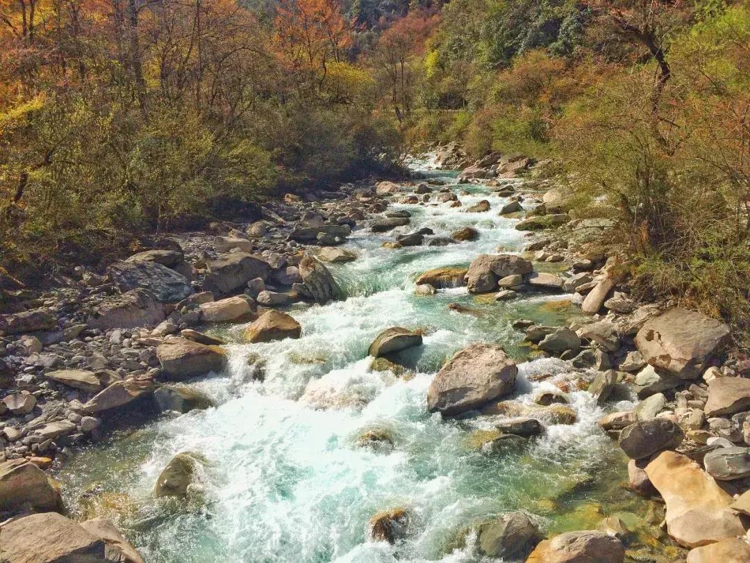 清明踏春一日游必去景点,踏春赏花景点最美推荐
