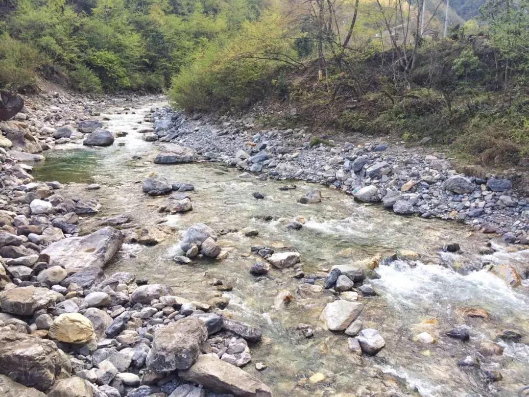 清明踏春一日游必去景点,踏春赏花景点最美推荐