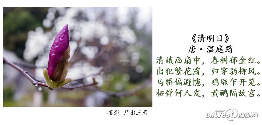 有关清明的绝美古诗句,5句描写清明的古诗词