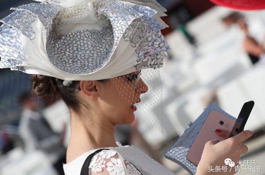 赛马节马的装扮,第27届迪拜赛马世界杯