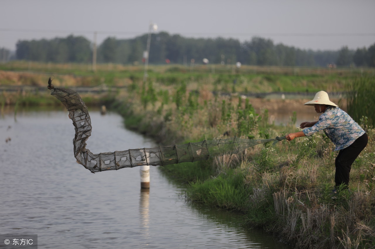 什么时候适宜捉小龙虾,在户外小龙虾怎么抓的