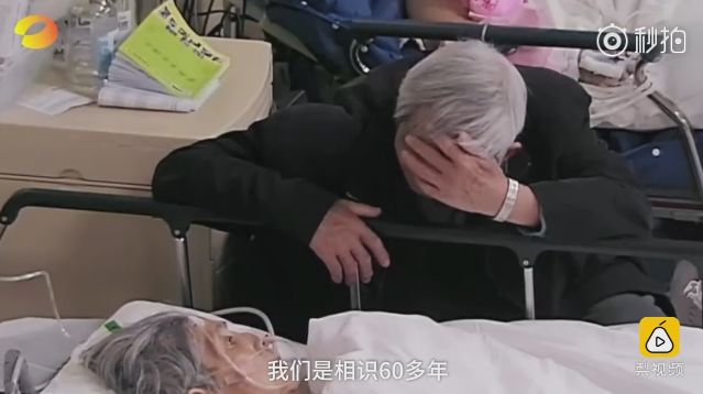 法治新闻全集完整版,严查机构改革中的违法问题