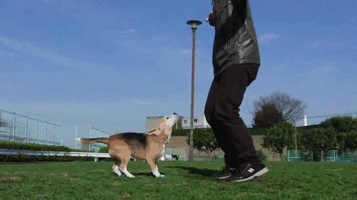 5个燃脂训练10周让你暴瘦,5个高效燃脂动作助力全身减脂