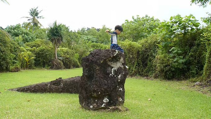 帕劳旅行的日记,帕劳的旅行日记