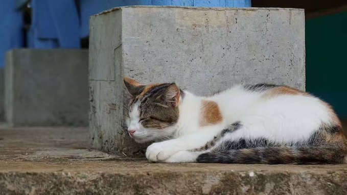 帕劳旅行的日记,帕劳的旅行日记