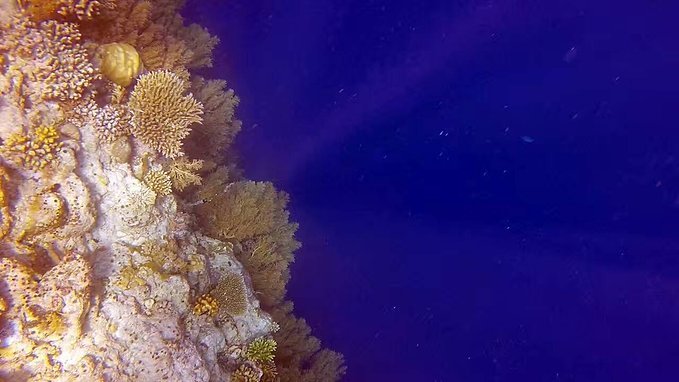 帕劳旅行的日记,帕劳的旅行日记