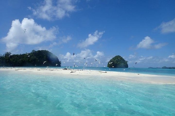 帕劳旅行的日记,帕劳的旅行日记