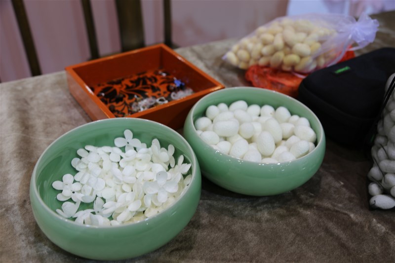 谷向阳讲话视频,谷向阳视频