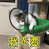 整形“神器”大测评：传说中的隆鼻夹真的靠谱吗？