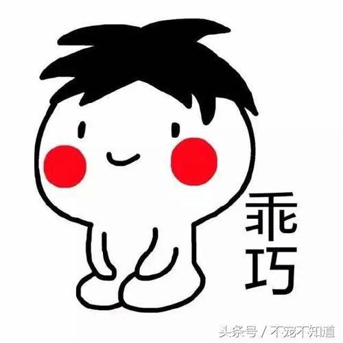 狗狗假孕的原因，这下终于整明白了！！