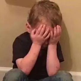 猫头秃了一块毛是怎么回事,为什么猫一直掉毛还不秃