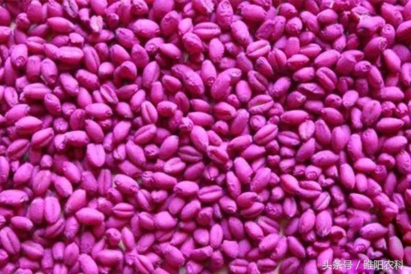 各种农药搭配与药效,农药使用的9个小技巧