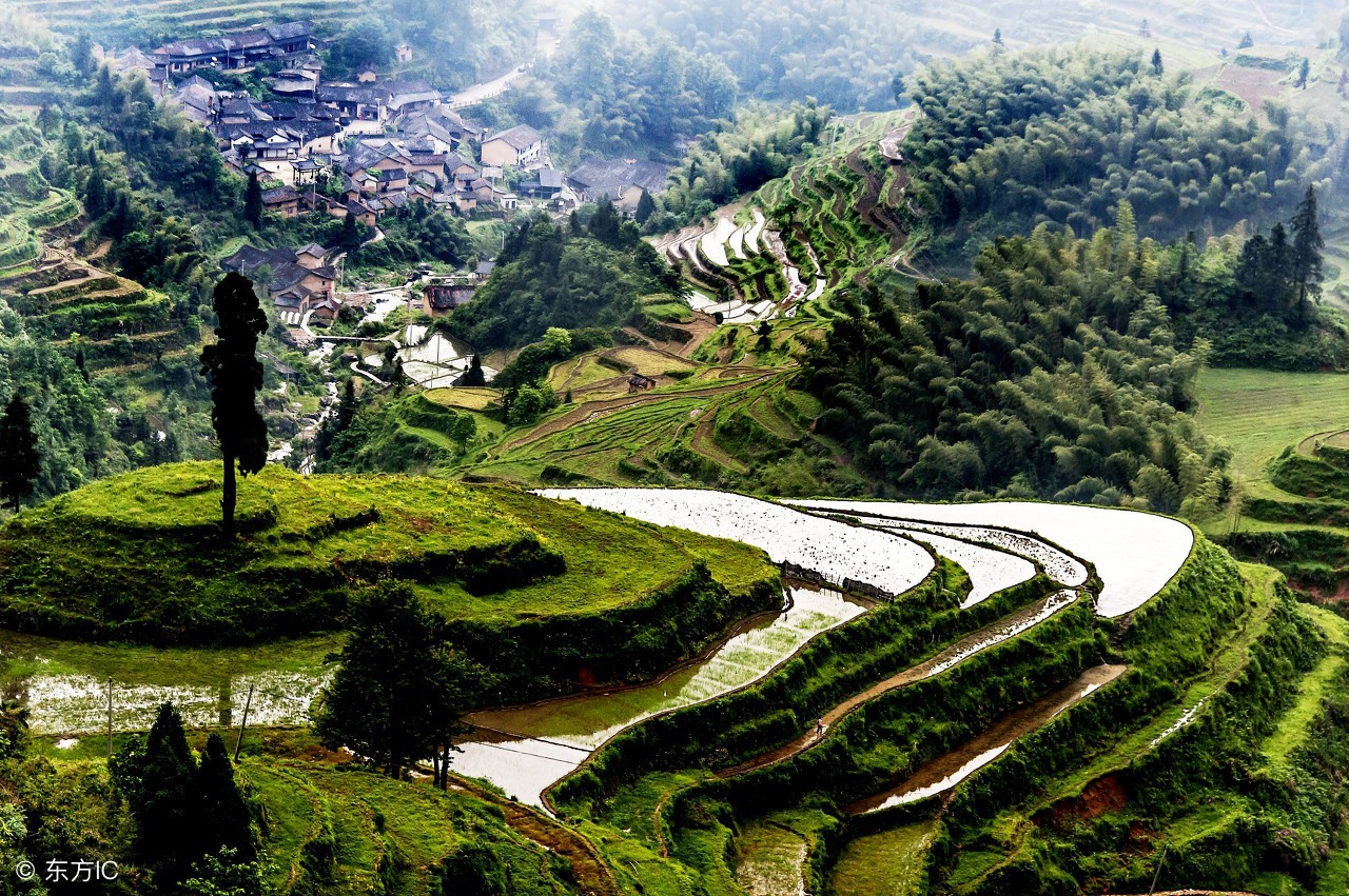 舌尖上的土特产，走近浙江！
