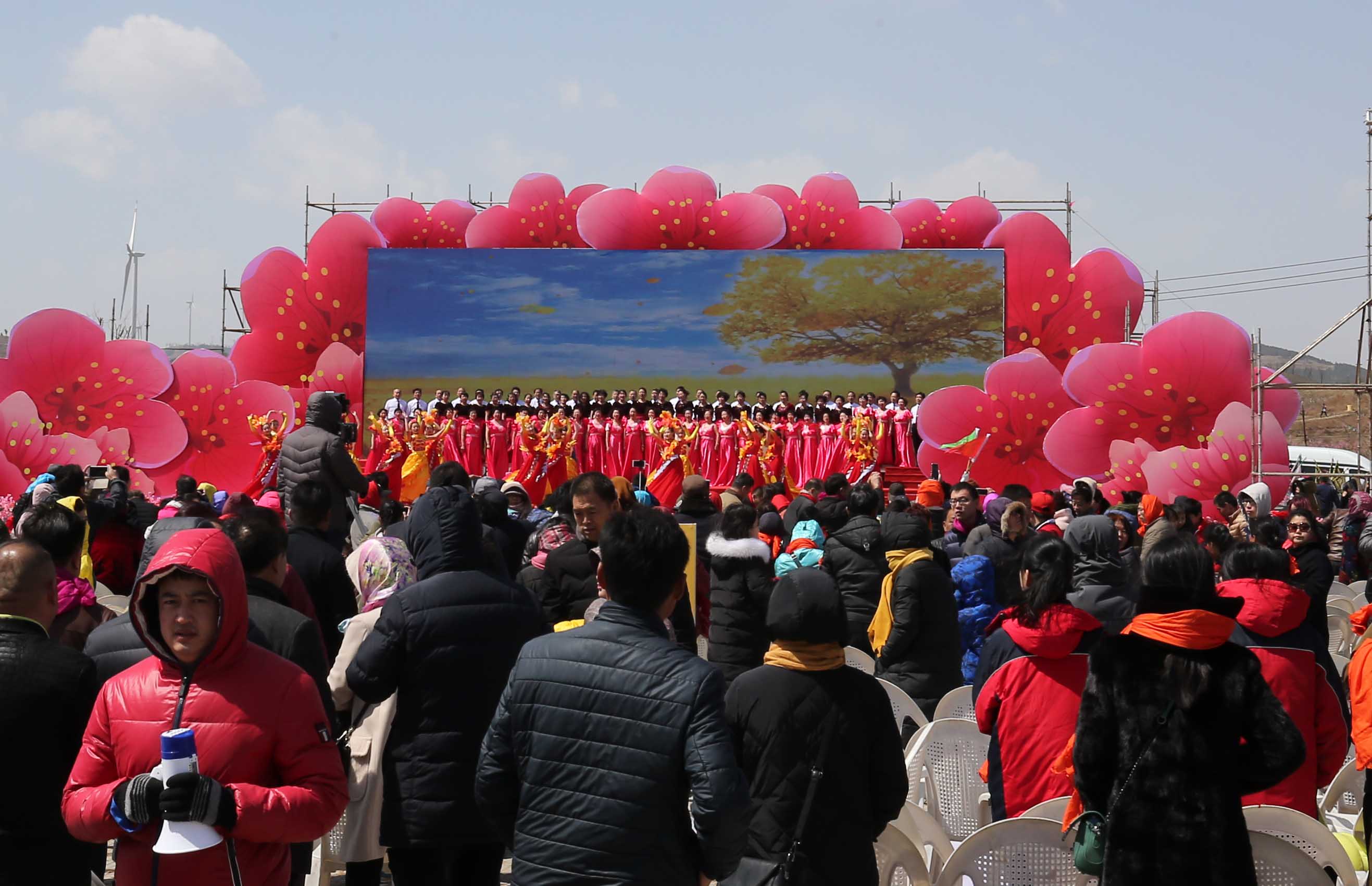 安丘举办盛大桃花节，景色迷人活动丰富多彩