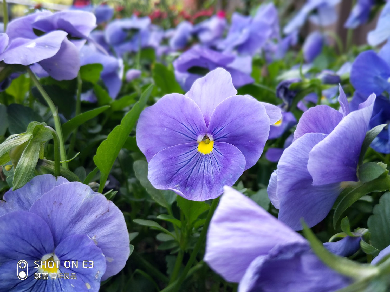 魅蓝e3测评,魅蓝e3评测