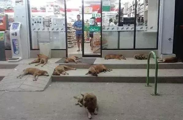 泰国的711推荐,泰国711哪个好