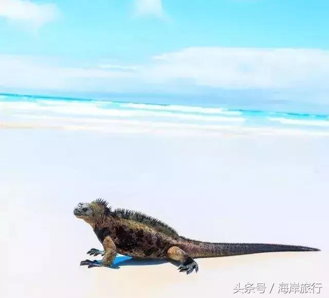 泰国9个最不能错过的美丽海岛,比普吉岛还美的度假天堂