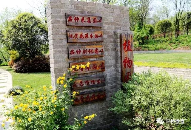 平桥美丽乡村,平桥区漂亮乡村