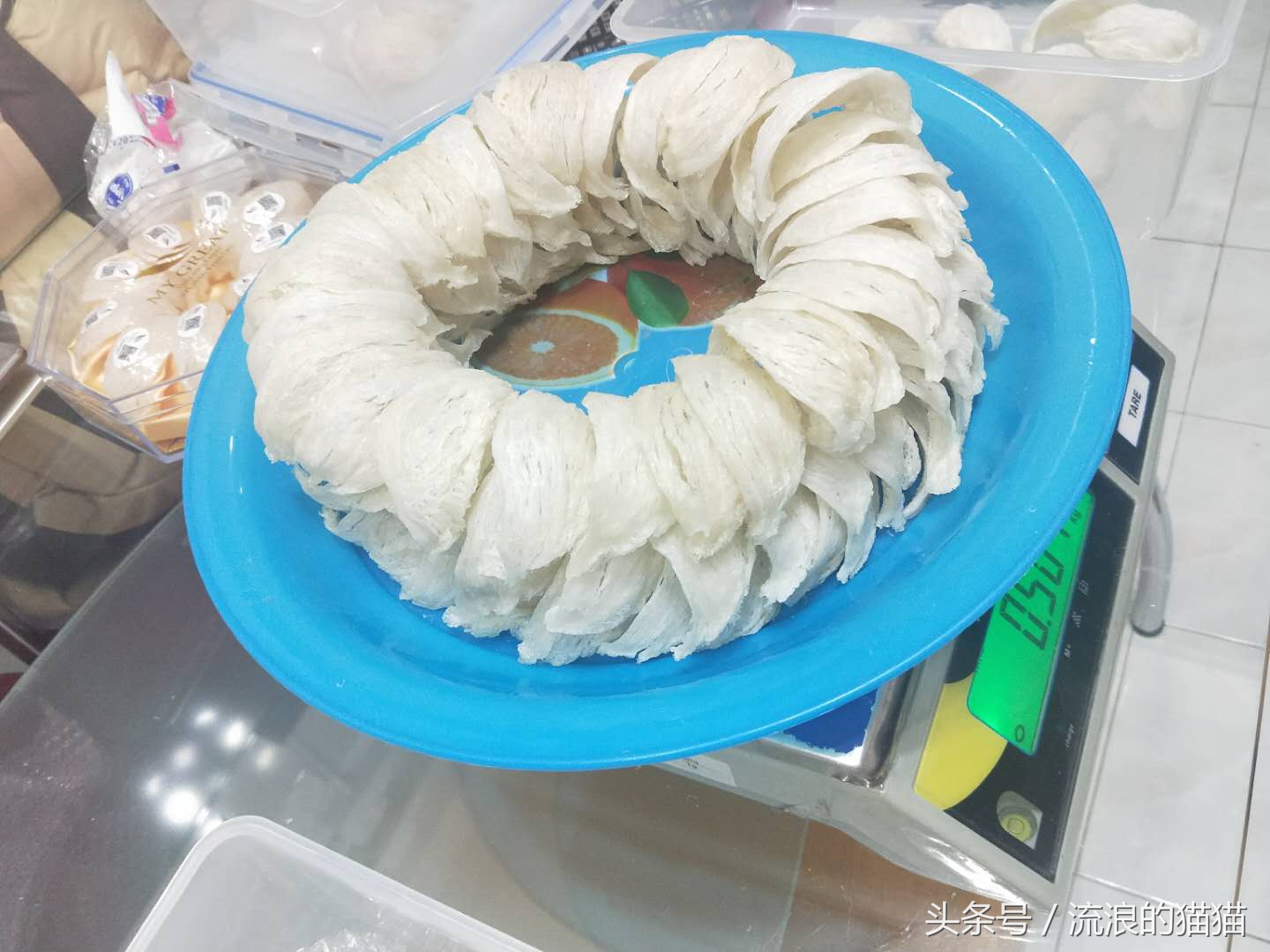 环游世界后会有什么感想,环游世界后的现实生活