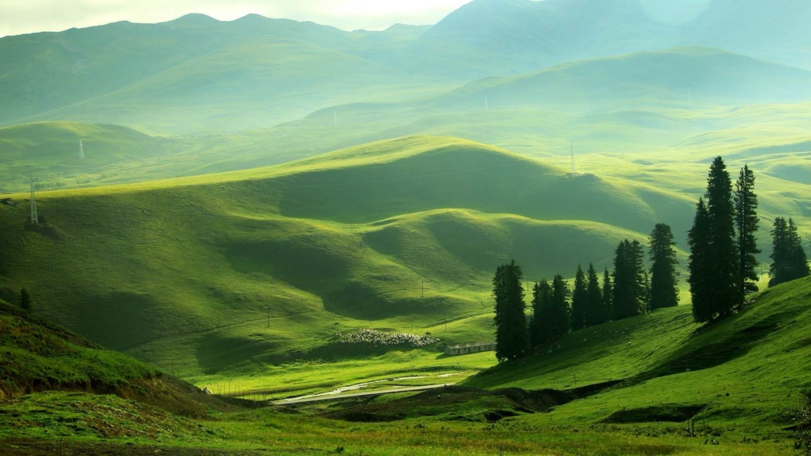 淘宝新疆也包邮了吗,淘宝上怎么设置新疆西藏不包邮