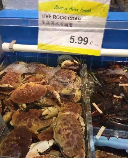 加拿大一年消费多少钱人民币 (加拿大的物价为什么那么贵)