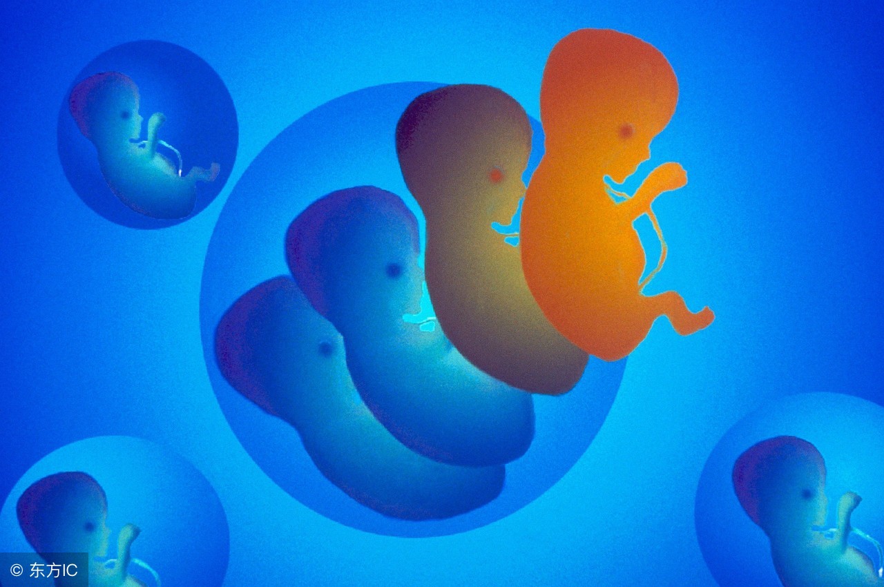 小夫妻去世遗留冷冻胚胎,老公去世妻子想用冷冻胚胎生子