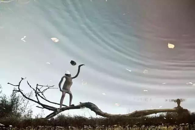 小猪佩奇擦亮眼睛看清事实,小猪佩奇最大的亮点