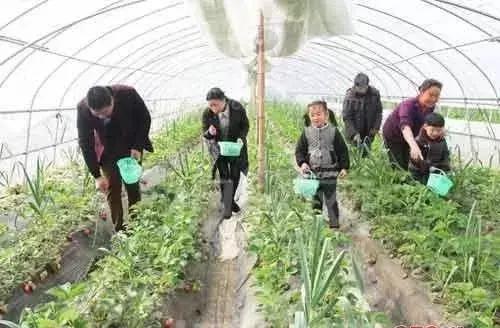 2020农村最火创业项目,2022必火的农村创业项目小本