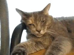 冷颤疾病,身体突然打颤一下是什么病