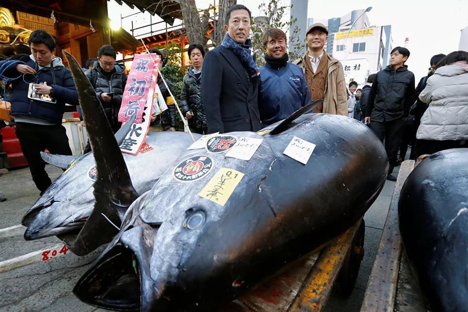 日式料理四种鱼,日本料理一般有哪些鱼