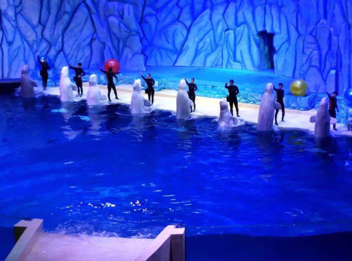 珠海长隆海洋王国攻略简介,珠海长隆海洋王国游玩攻略吃喝