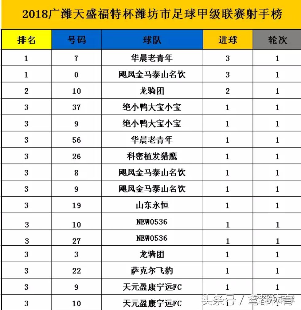 2019年潍坊足球比赛,潍坊足球五大联赛冠军排名