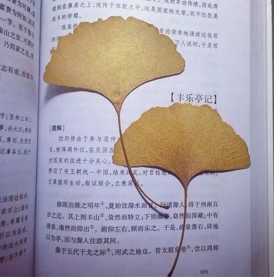 长沙市一中校友,我的母校