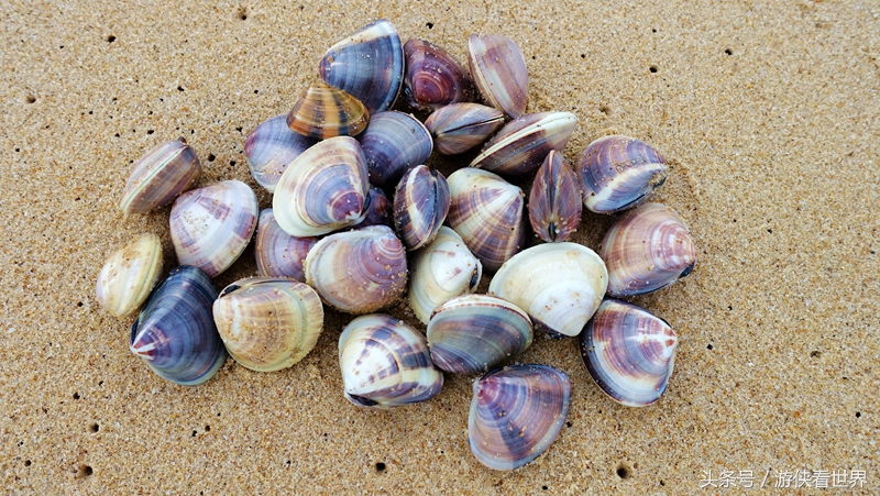 江门市台山东南亚风情村美食,江门市台山有哪些好吃好玩的地方