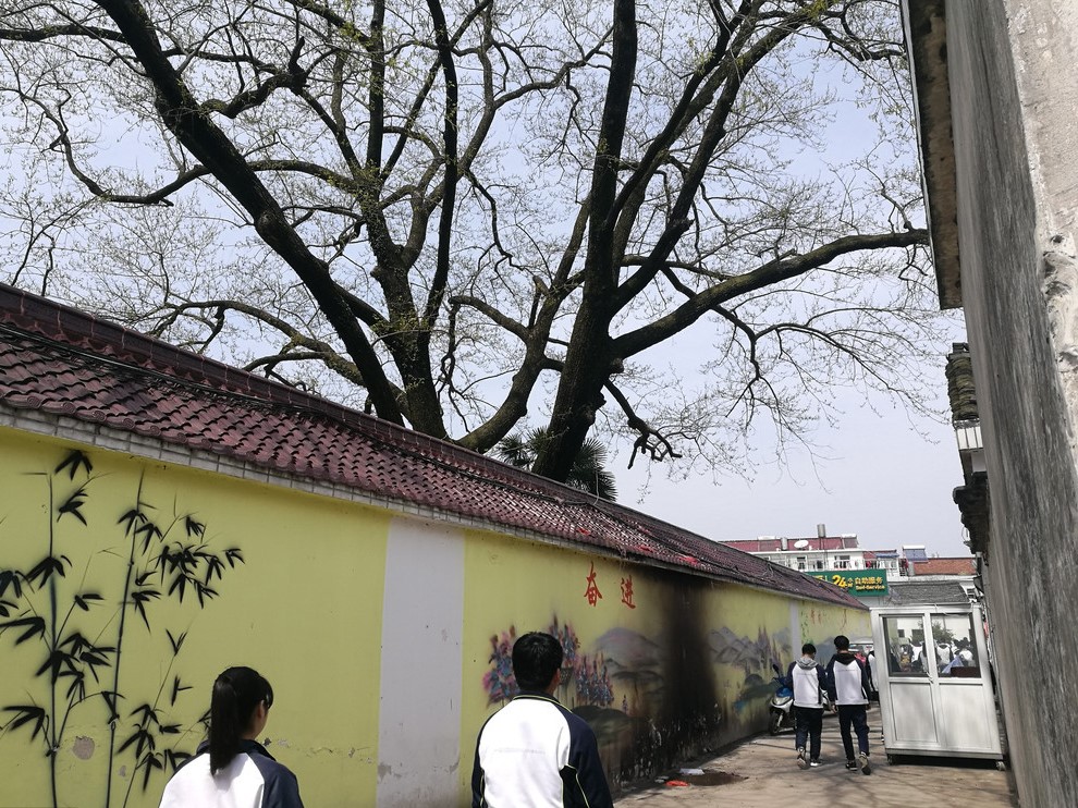 靠高考养活的毛坦厂镇房租直逼北上广,当地财政收入90%来自教育