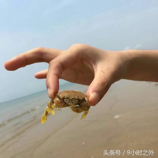 雷州乌石镇天成台度假黄金海岸,雷州乌石港景区