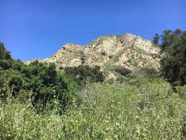 四月减肥正当时,4月份怎么减肥快