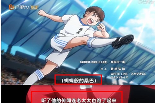 大空翼妈妈叫什么,足球小将大空翼的妈妈和罗伯特