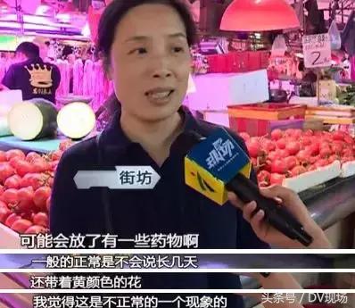 黄瓜用避孕药催熟,黄瓜催熟用避孕药