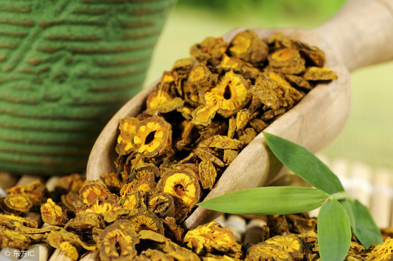 黄连药材视频,黄连科普视频