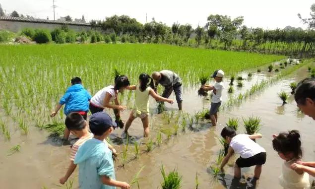 打牙祭成都,每周打牙祭