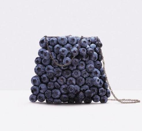 用三种说明方法介绍蓝莓,蓝莓多种食用方法